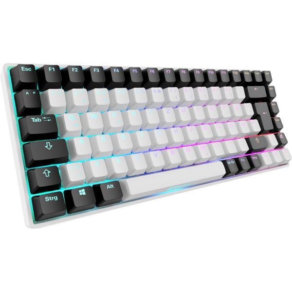 Sharkoon SKILLER SGK50 S3 weiß, DE-Layout Gateron Brown