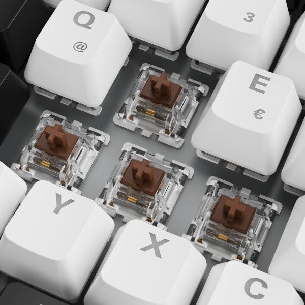 Sharkoon SKILLER SGK50 S3 weiß, DE-Layout Gateron Brown